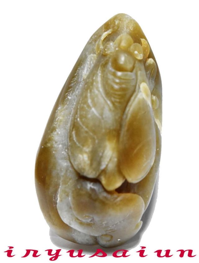 【送料無料】復活や生命の象徴 Jade Netsuke 開運 風水 天然 玉石 手彫り 金蝉 セミ 根付 和田玉 男女兼用 新品 一刀彫 ネックレス 色 メンズ 人気 威龍彩雲の通販は