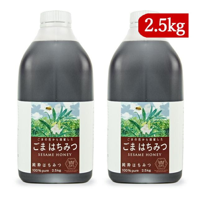 クインビーガーデン ごまの花から採取した ごまはちみつ 2.5kg×2個 純粋はちみつ 沖縄配送不可