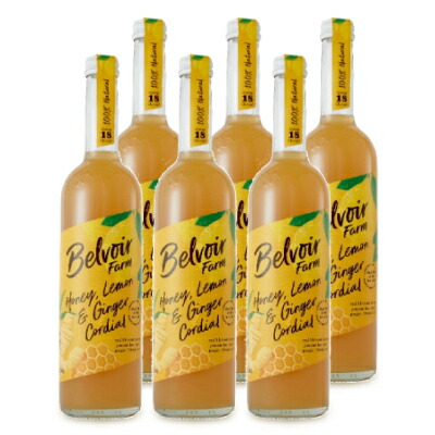 ユウキ食品 コーディアルハニーレモン＆ジンジャー 500ml × 6本 ケース販売の通販は