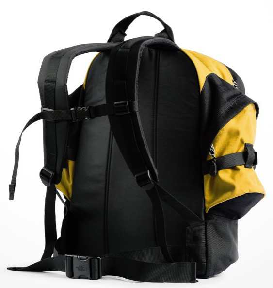 the north face wasatch