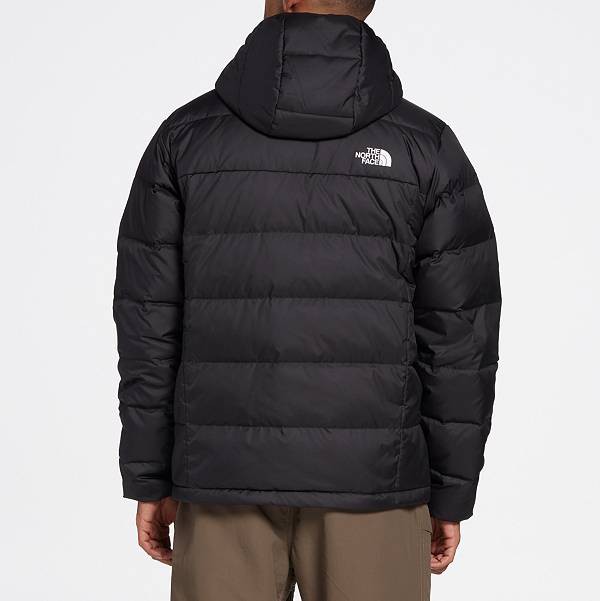 north face alpz luxe hooded jacket men's