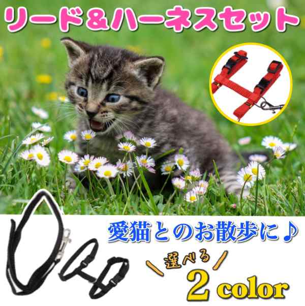 猫 リード ハーネス 送料無料 2カラー ブラック レッド 猫用胸当て ハーネス リードセット 猫用品 ペットグッズ 猫リード お散歩の通販はau Pay マーケット De Mom Tabernam