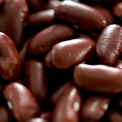 レッドキドニービーンズ 20kg(1kg×20袋) 常温便 Red Kidney Beans ラジマ ロビヤ Rajma Red Robiya 乾燥豆【業務用】【送料無料】