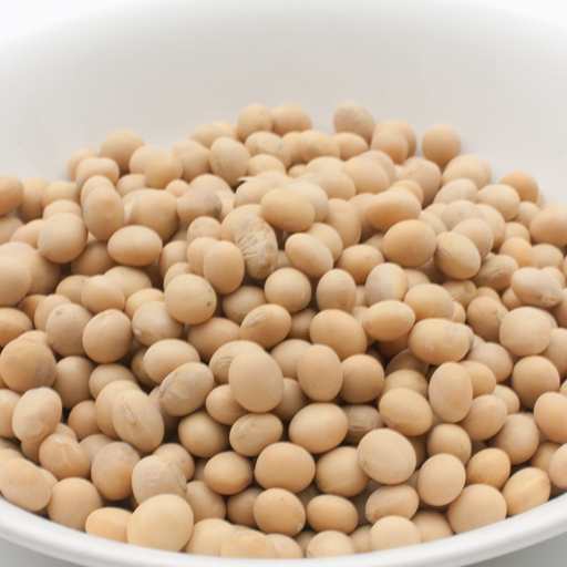 大豆 20kg(1kg×20袋) 常温便 Soybean ソヤビーン 乾燥豆【業務用】【送料無料】