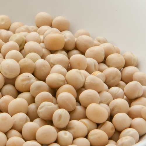 ホワイトピース 20kg(1kg×20袋) 常温便 White Peas 白えんどう豆 トラッパーピース 乾燥豆【業務用】【送料無料】