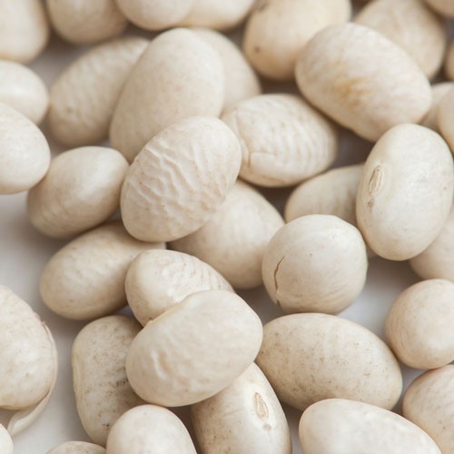 ホワイトキドニービーンズ 20kg(1kg×20袋) 常温便 White Kidney Beans 手亡豆 白インゲン豆 乾燥豆【業務用】【送料無料】