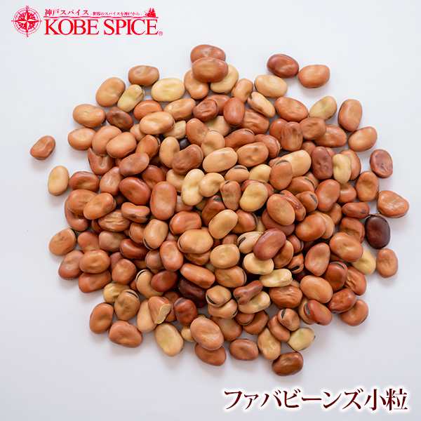 ソラマメ 小粒 20kg(1kg×20袋) 常温便 Small Fava Beans ファバビーン 乾燥豆【業務用】【送料無料】