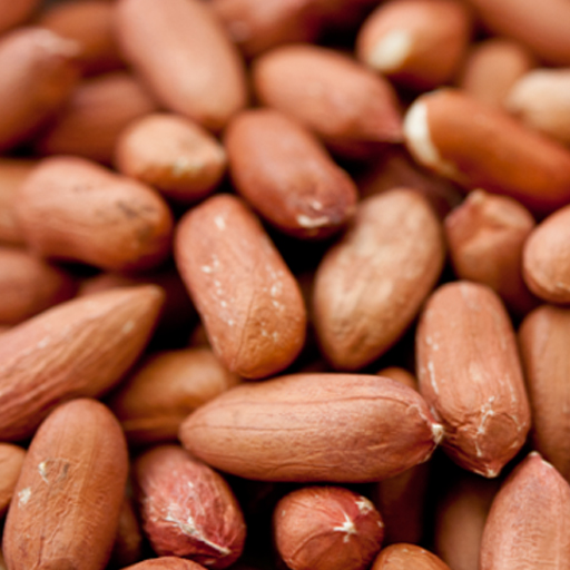 ピーナッツ 生 渋皮付き 3kg 送料無料 常温便 生 薄皮付き Peanut 南京豆 ナッツ 落花生 ホール ムキミ の通販はau Pay マーケット 神戸スパイス