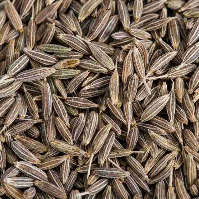 クミンシード 5kg (1kg×5袋) 常温便,業務用,Cumin Seed,ジーラ,Jeera,孜然,まきん,うまぜり,原型,スパイス,調味料,馬芹【送料無料】