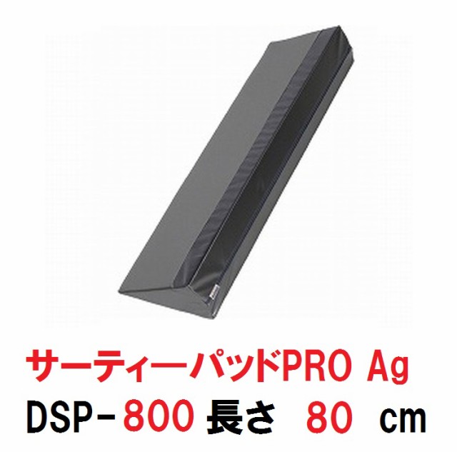 イノアックリビング サーティパッドPRO Ag シルバー 800 DSP-800(代引