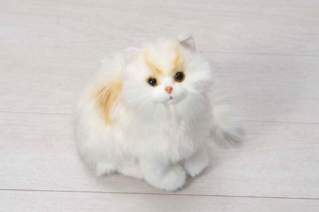 なでなでねこちゃん　子猫ちゃん　サイベリアン　トレンドマスター　猫 ぬいぐるみ 人形 コミュニケーション ペット