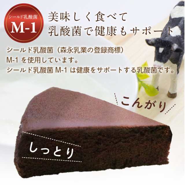 チョコケーキ 六甲山麓牛乳仕込み 遊酪舎しっとりした 乳酸菌入り ちょこケーキ ５号 約300ｇ ポイント消化 ポスト投函便 送料無料 シの通販はau Pay マーケット プラムテラス