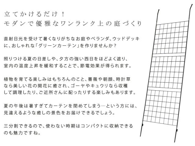 アイアン製グリーンカーテン　グラフ IF-GC014SLV_2