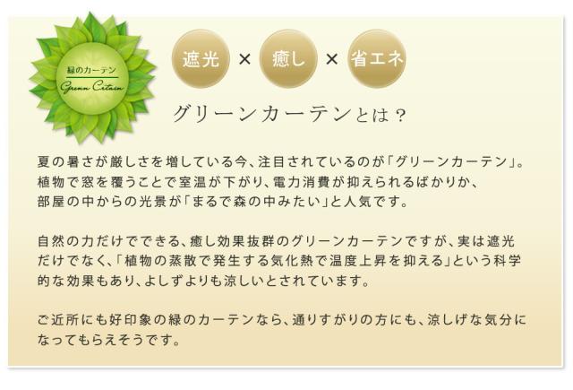 アイアン製グリーンカーテン　グラフ IF-GC014SLV_3