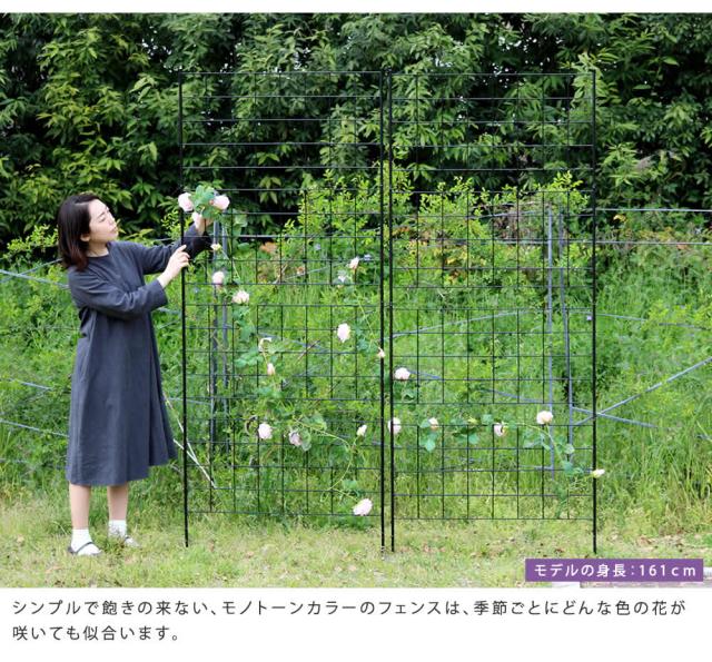 アイアンフェンス 高さ226 「グラフ」 1枚 IF-GR024-1P_3