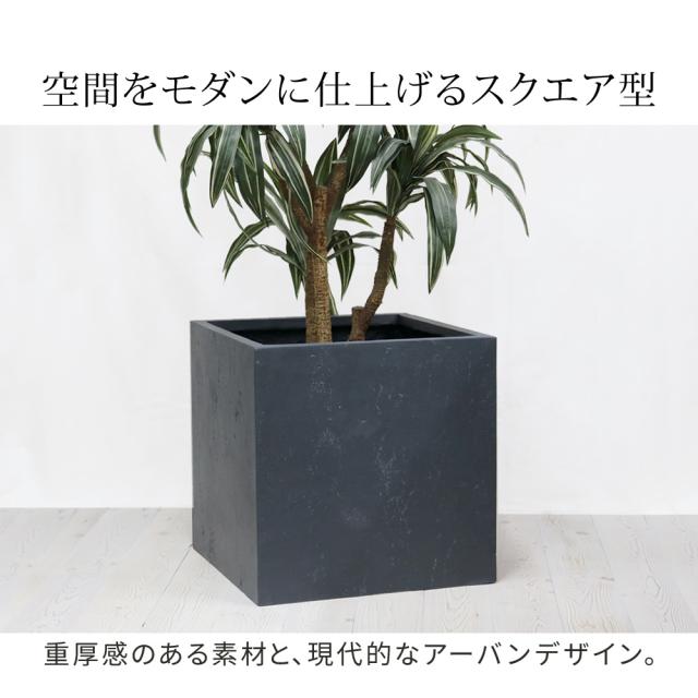 プランター 植木鉢 大型 コンクリート風 幅50cm 角型 正方形