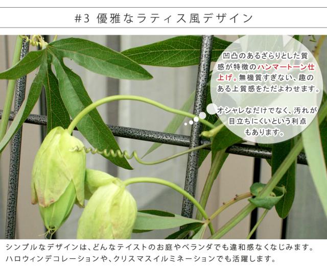 アイアン製グリーンカーテン　グラフ IF-GC014SLV_7