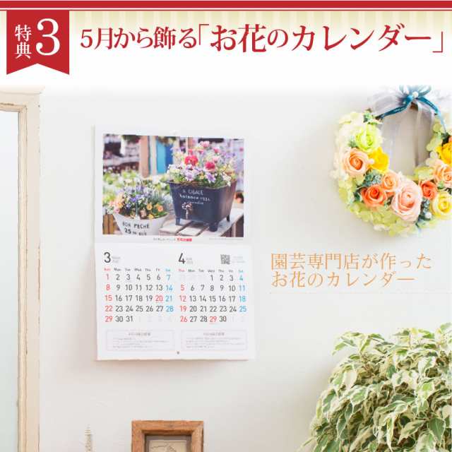 まだ間に合う 母の日 プレゼント カーネーション 花色おまかせ鉢植え ギフト 21の通販はau Pay マーケット ｆｌｅｕｒ ｔｏｗｎ 吉本花城園