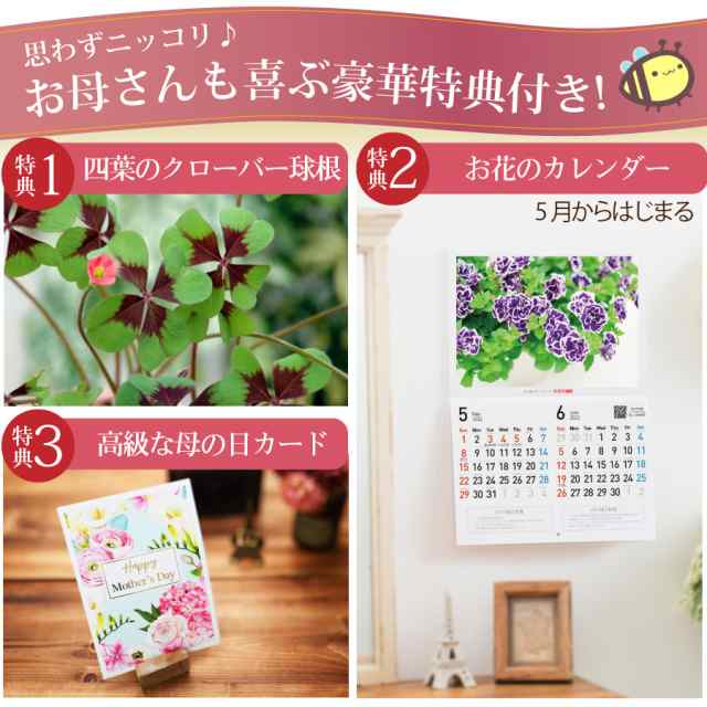 母の日 プレゼント アジサイ 花 ギフト 鉢植え あじさい 紫陽花 万華鏡 ケイコピンク ケイコブルー ピンキーリング パープルリング 銀河 の通販はau Pay マーケット ｆｌｅｕｒ ｔｏｗｎ 吉本花城園