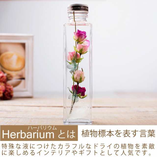 ハーバリウム Herbarium 角165プリザ ブドフラワーやドライフラワーを液体の入ったビンに漬けての通販はau Pay マーケット ｆｌｅｕｒ ｔｏｗｎ 吉本花城園