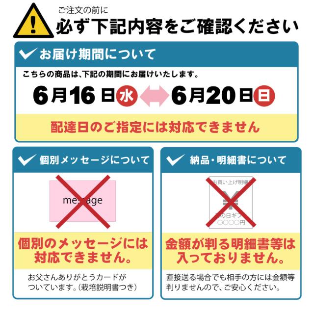 父の日 プレゼント 実付きブルーベリー鉢植えギフト 果樹苗 果物 家庭菜園 21の通販はau Pay マーケット ｆｌｅｕｒ ｔｏｗｎ 吉本花城園