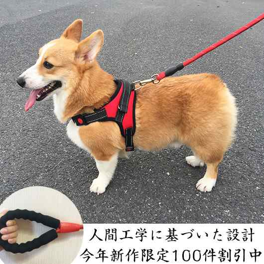 犬用ハーネス 犬用リード 小型犬用 中型犬用 ハーネスリードセット ハーネス リード 犬の胴輪 セット 一体型 ペット用品の通販はau Pay マーケット レオレオ Au Pay マーケット店