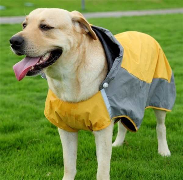 犬レインコート 雨具 犬用 防水 犬の服 大人気 着心地よい ツートン ファッション お買い得 小型犬 中型犬 大型犬 犬レインコートの通販はau Pay マーケット レオレオ Au Pay マーケット店