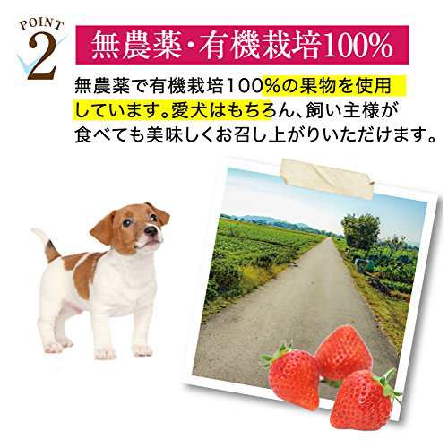 犬 果物 おやつ 食後の楽しみ フルーツ ミックス無添加 苺 バナナ ブルーベリー 通常便 の通販はau Pay マーケット 犬 のご飯とケーキのドッグダイナー