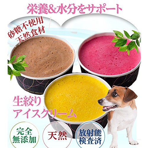 犬用 アイス 犬 生搾り アイスクリーム ５個 無添加 犬の水分補給 クール便 の通販はau Pay マーケット 犬のご飯とケーキのドッグダイナー