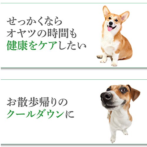 犬 ペット用 アイス 犬用 アイスクリーム ３個 無添加 犬の水分補給 クール 便 の通販はau Pay マーケット 犬 のご飯とケーキのドッグダイナー