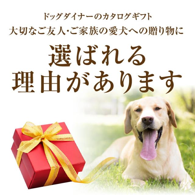 犬用 カタログギフト プラチナ 円 プレゼント ギフト お祝いに最適なギフトカタログの通販はau Pay マーケット 犬 のご飯とケーキのドッグダイナー