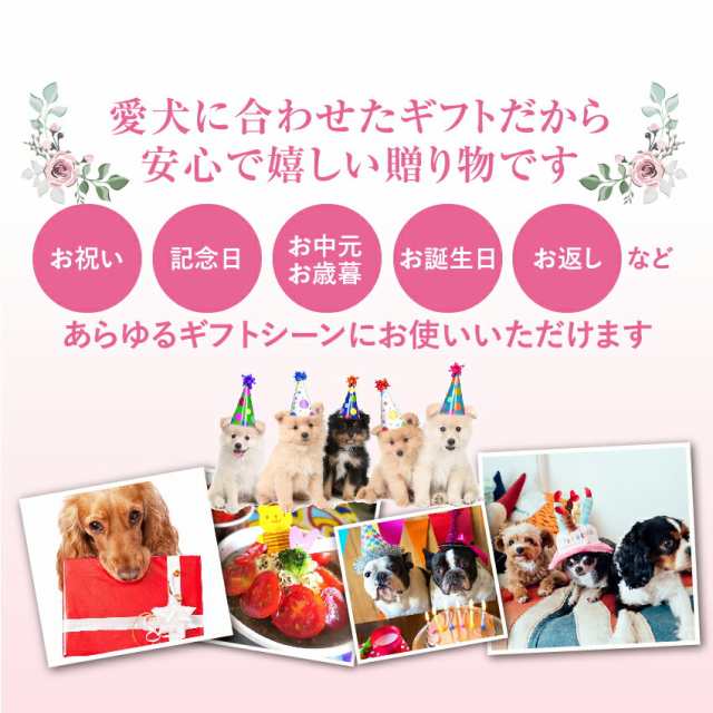 犬用 カタログギフト プラチナ 円 プレゼント ギフト お祝いに最適なギフトカタログの通販はau Pay マーケット 犬 のご飯とケーキのドッグダイナー