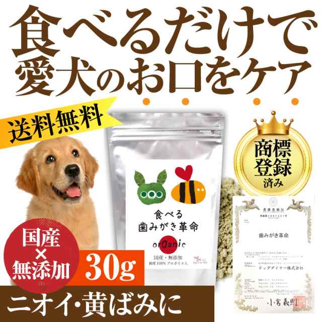 犬 猫 歯石 歯垢 口臭 サプリ 食べる 歯磨き 革命 30g 無添加 メール便 送料無料 の通販はau Pay マーケット 犬 のご飯とケーキのドッグダイナー