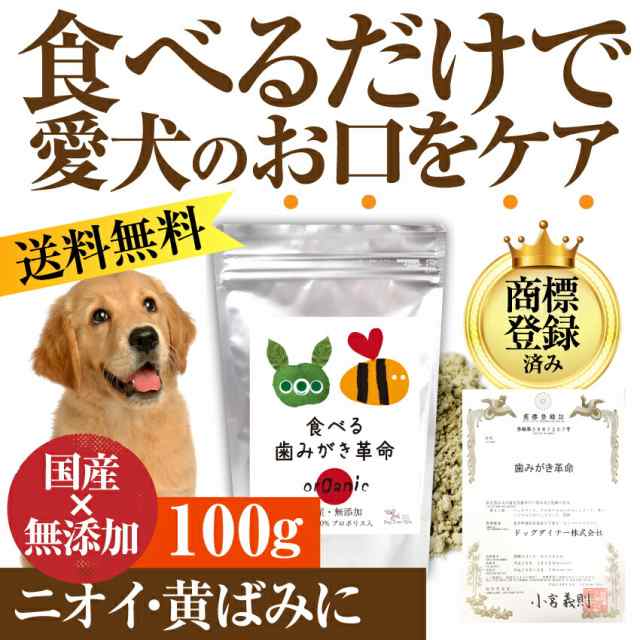 犬 猫用 デンタルケア サプリ 食べる 歯磨き 革命100g 無添加 歯垢 歯石に 送料無料 の通販はau Pay マーケット 犬 のご飯とケーキのドッグダイナー