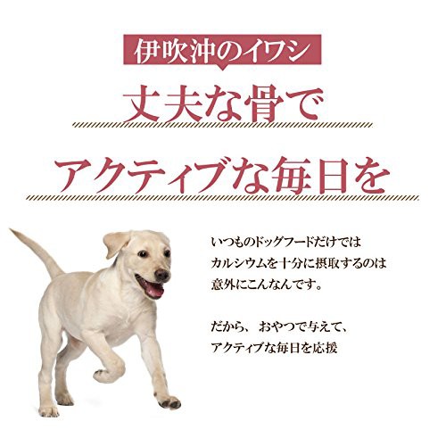 犬 猫 無添加 おやつ いわし ジャーキー 国産 魚 通常便 の通販はau Pay マーケット 犬のご飯とケーキのドッグダイナー