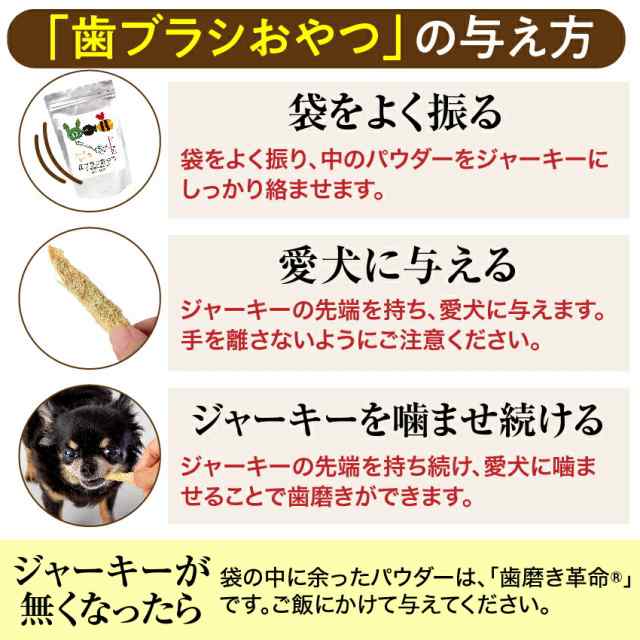 犬 猫 歯石 歯垢に無添加 食べる 歯ブラシ 革命 大袋 サプリのような歯磨き おやつ 通常便 の通販はau Pay マーケット 犬 のご飯とケーキのドッグダイナー