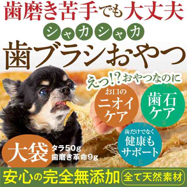 犬 猫 歯石 歯垢に無添加 食べる 歯ブラシ 革命 大袋 サプリのような歯磨き おやつ 通常便 の通販はau Pay マーケット 犬 のご飯とケーキのドッグダイナー