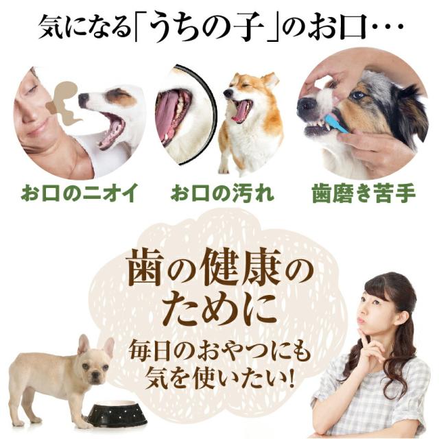 犬 猫 無添加 おやつ 歯磨き ジャーキー 鱈 歯石 歯垢に 国産 通常便 送料無料 の通販はau Pay マーケット 犬 のご飯とケーキのドッグダイナー