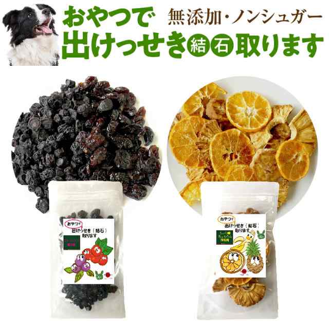 犬 猫用 サプリ おやつで出けっせき 結石 取ります 無添加 通常便 送料無料 の通販はau Pay マーケット 犬のご飯とケーキのドッグダイナー