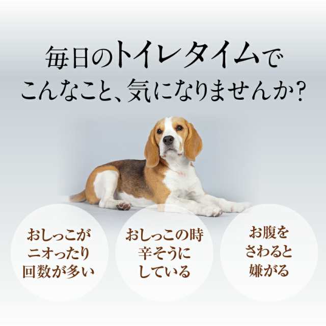 犬 猫用 サプリ おやつで出けっせき 結石 取ります 無添加 通常便 送料無料 の通販はau Pay マーケット 犬のご飯とケーキのドッグダイナー