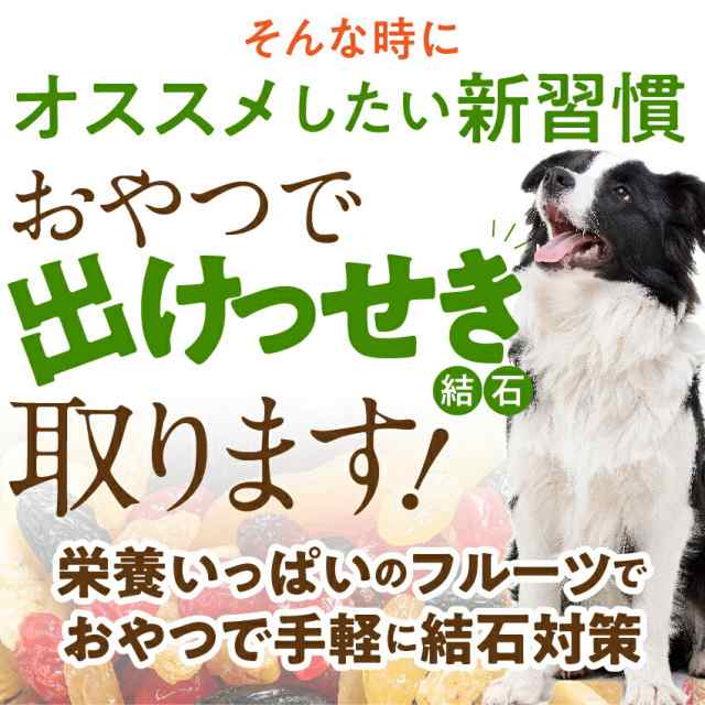 犬 猫用 サプリ おやつで出けっせき 結石 取ります 無添加 通常便 送料無料 の通販はau Pay マーケット 犬のご飯とケーキのドッグダイナー