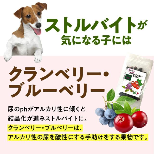 犬 猫用 サプリ おやつで出けっせき 結石 取ります 無添加 通常便 送料無料 の通販はau Pay マーケット 犬のご飯とケーキのドッグダイナー