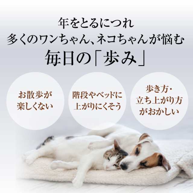 犬用 関節 サプリ グルコサミン コンドロイチン コラーゲン Msm ホネ骨ロック 無添加 メール便 送料無料 の通販はau Pay マーケット 犬のご飯とケーキのドッグダイナー