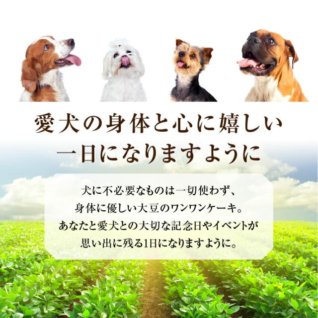 犬用 誕生日ケーキ 大豆のワンワン ケーキ 無添加 犬用ケーキ クール便 の通販はau Pay マーケット 犬のご飯とケーキのドッグダイナー