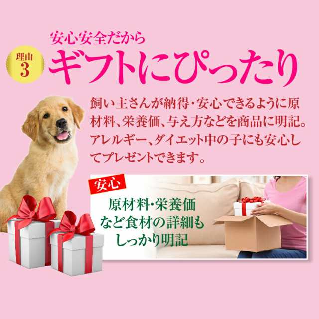 低価格化 期間限定販売 犬用 バレンタイン ケーキ 手作りご飯 セット ミニ ハート For ヴァレンタイン Riversidemedicalarts Com