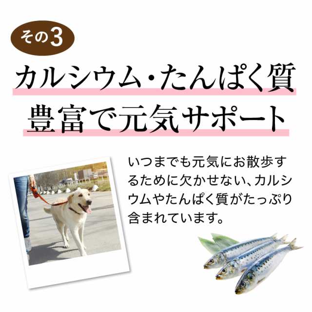 犬用 手作りご飯 魚 いわし ハンバーグ 2個入 無添加 国産 冷凍 の通販はau Pay マーケット 犬のご飯とケーキのドッグダイナー