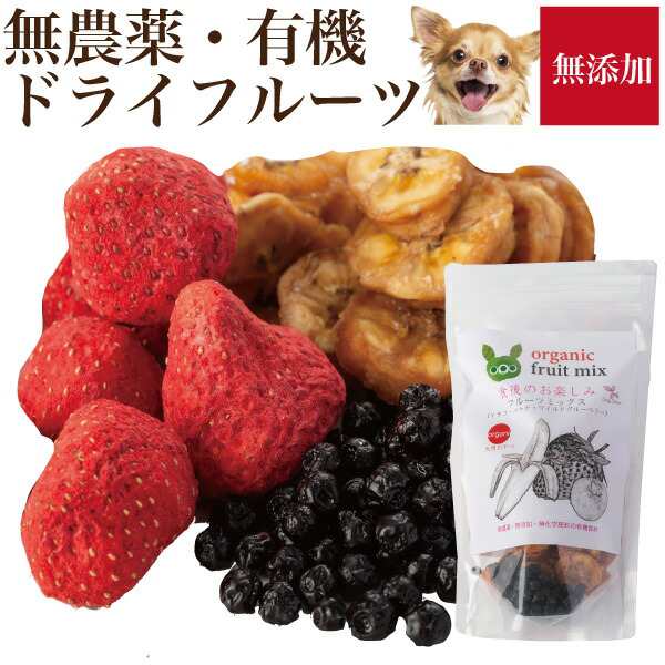 犬 果物 おやつ 食後の楽しみ フルーツ ミックス無添加 苺 バナナ ブルーベリー 通常便 送料無料 の通販はau Pay マーケット 犬のご飯とケーキのドッグダイナー