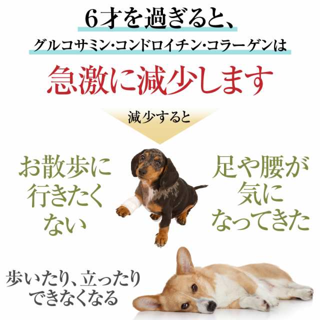 犬用 関節 サプリ グルコサミン コンドロイチン コラーゲン セット 無添加 メール便 送料無料 の通販はau Pay マーケット 犬 のご飯とケーキのドッグダイナー