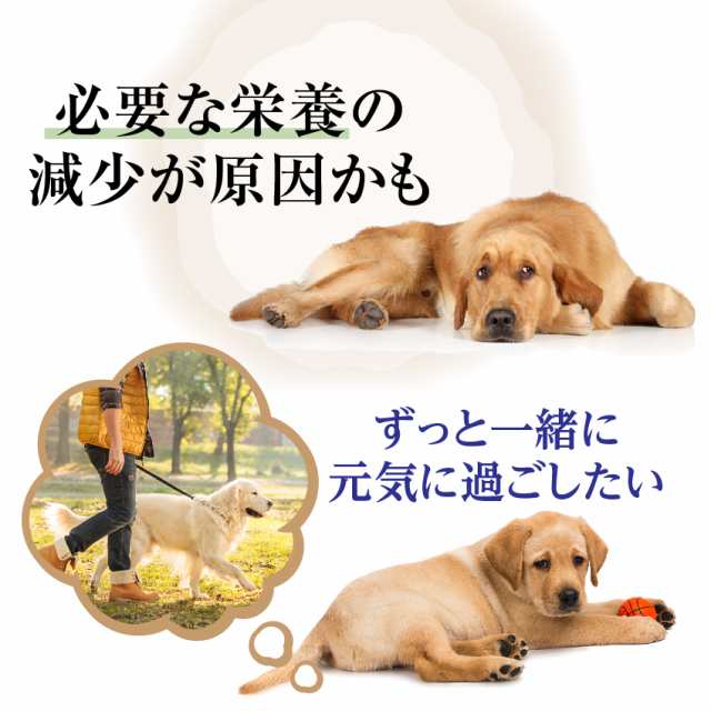 犬用 関節 サプリ グルコサミン コンドロイチン セット 無添加 メール便 送料無料 の通販はau Pay マーケット 犬 のご飯とケーキのドッグダイナー