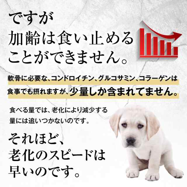 犬用 関節 サプリ グルコサミン コンドロイチン セット 無添加 メール便 送料無料 の通販はau Pay マーケット 犬 のご飯とケーキのドッグダイナー